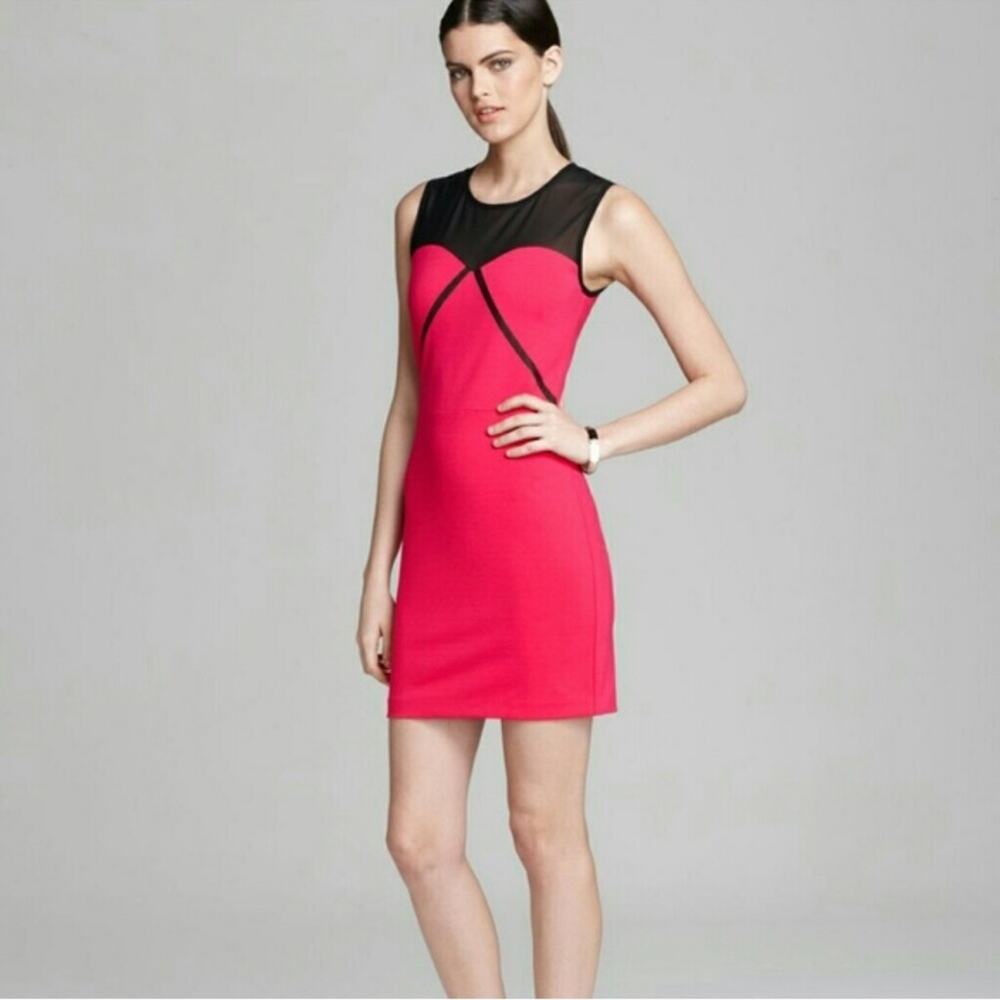ERIN by Erin Fetherson Bright Rose and Black Mesh Chiara Illusion Mini Dress